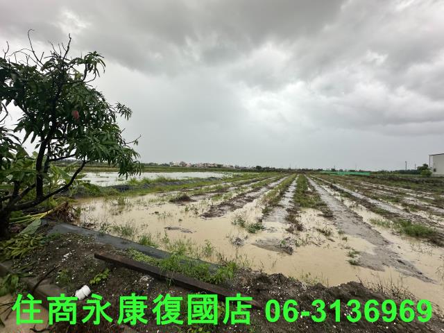 台南鹽水農地-1