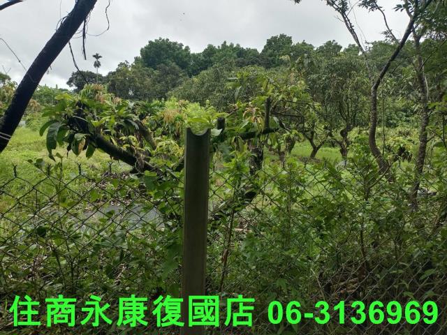 台南官田農地-11
