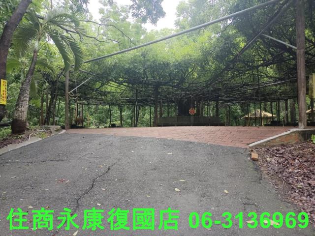 台南官田農地-3