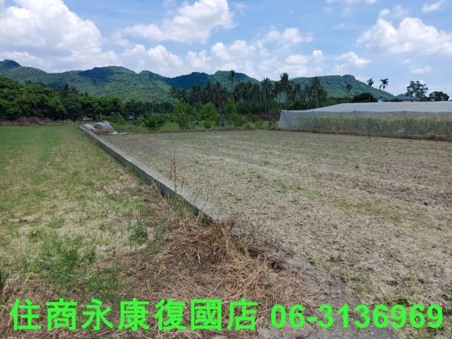 高雄旗山農地-11