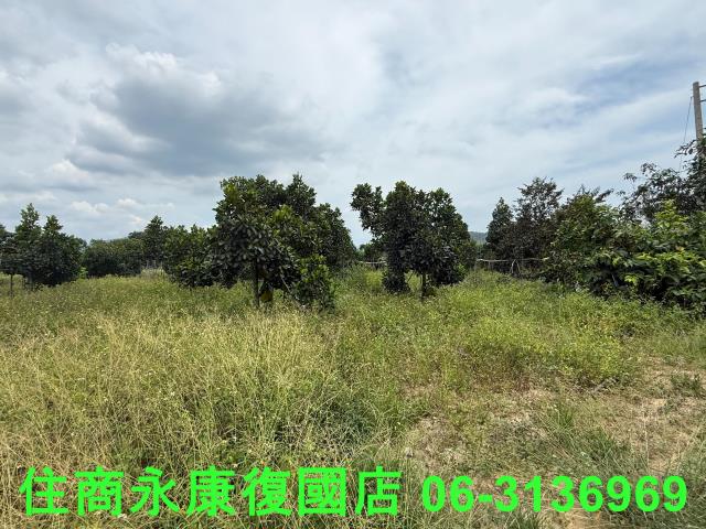 台南楠西農地-4