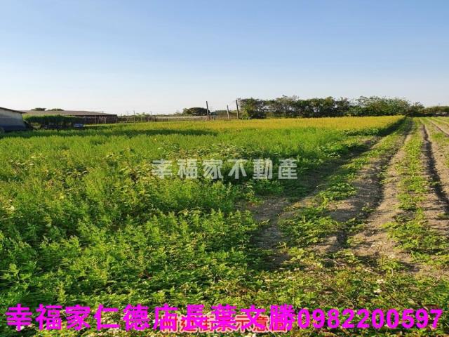 台南安南農地-7
