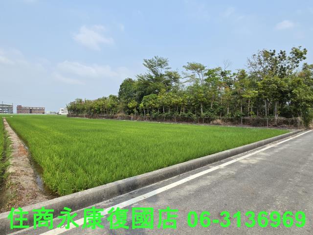 台南六甲農地-7
