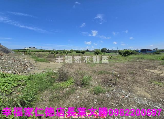 台南仁德農地-3