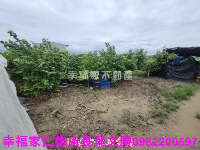 台南山上農地-14