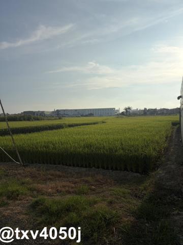 官田住宅地-7