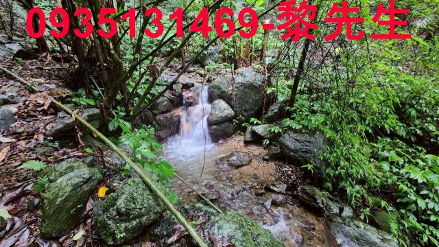 橫山林地-4