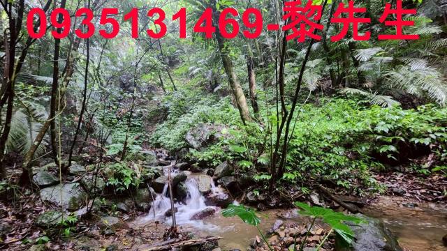 橫山林地-8
