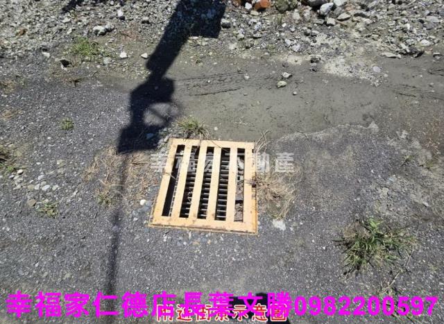 台南仁德農地-4
