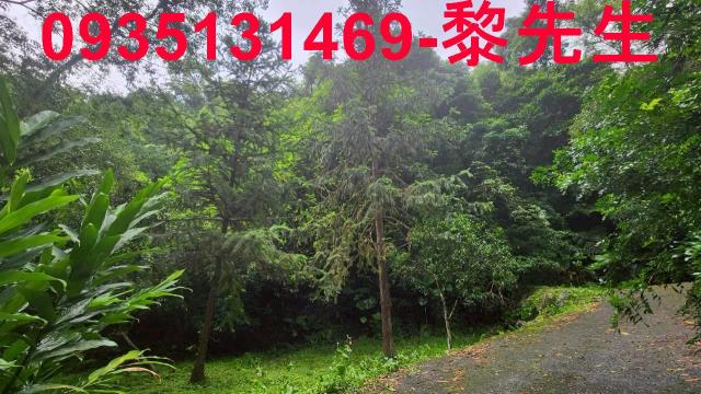 新竹橫山林地-3