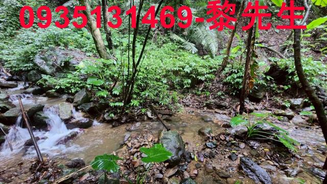 新竹橫山林地-6