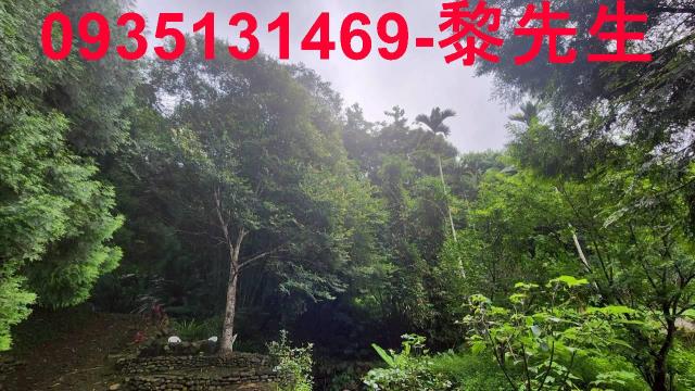 新竹橫山林地-10