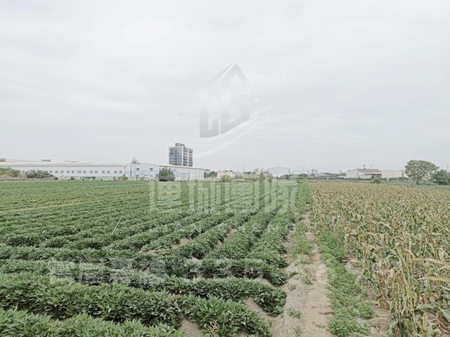 新化農地-2