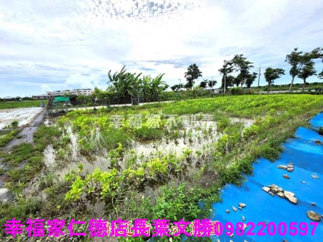 台南農地-5