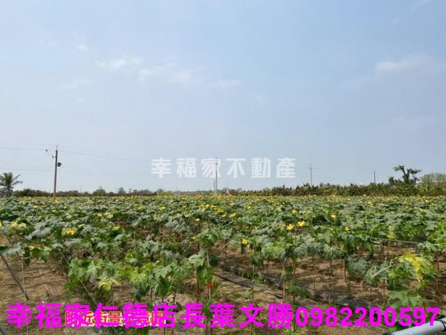台南柳營農地-10