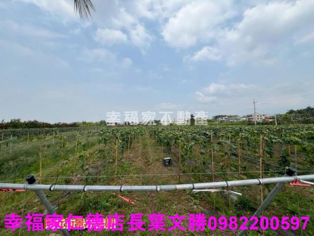 台南柳營農地-12