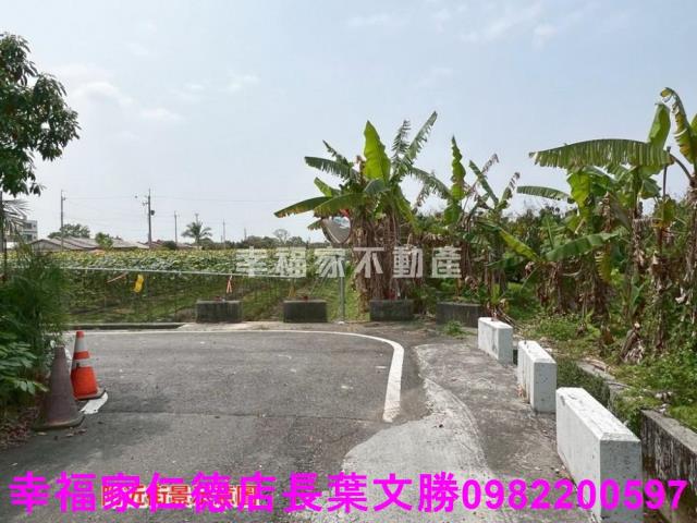 台南柳營農地-14