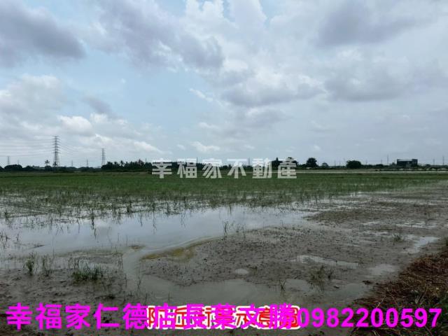 新市農地-15