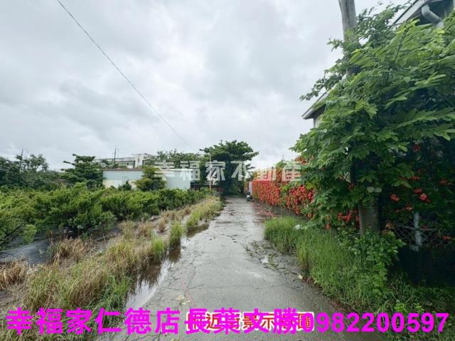 仁德農地-9