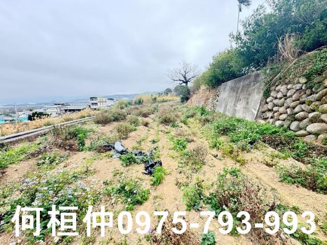 苗栗銅鑼農地-7