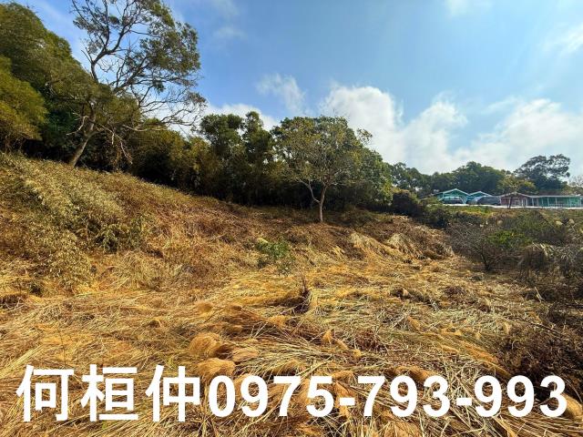 通霄農地-3
