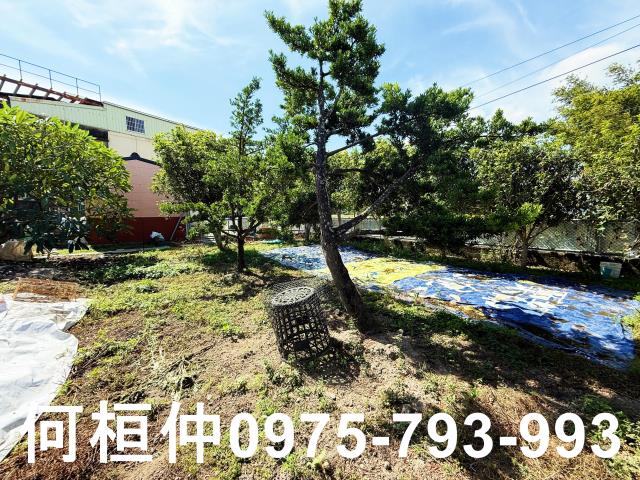 公館農地-7