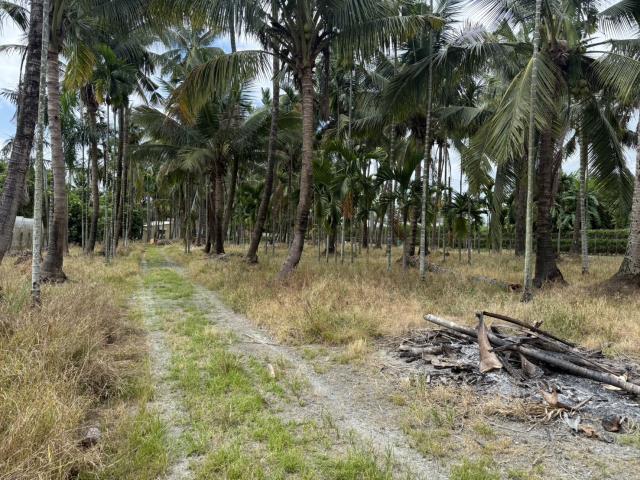 屏東長治農地-3
