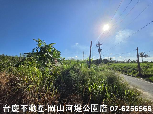 阿蓮農地-7