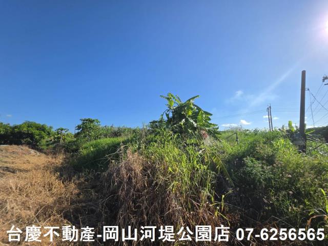 阿蓮農地-9
