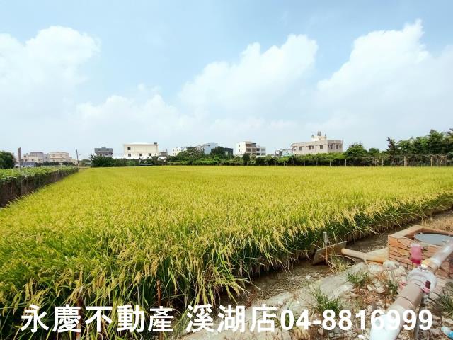 彰化溪湖農地-2