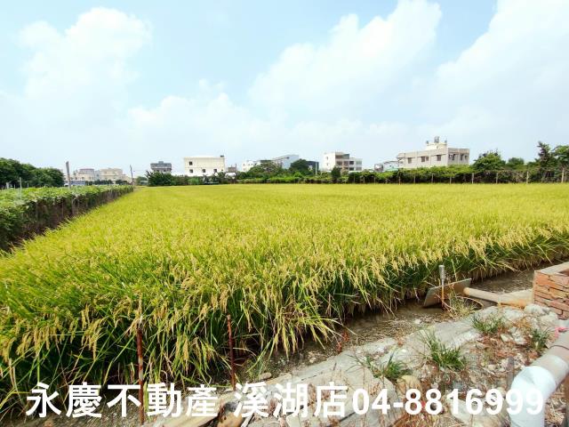 彰化溪湖農地-9