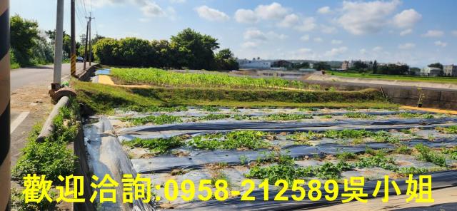 新竹新豐農地-13