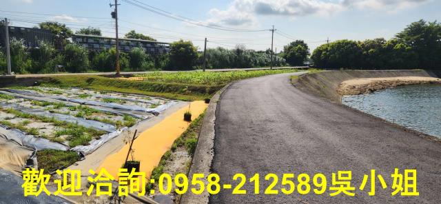 新竹新豐農地-15
