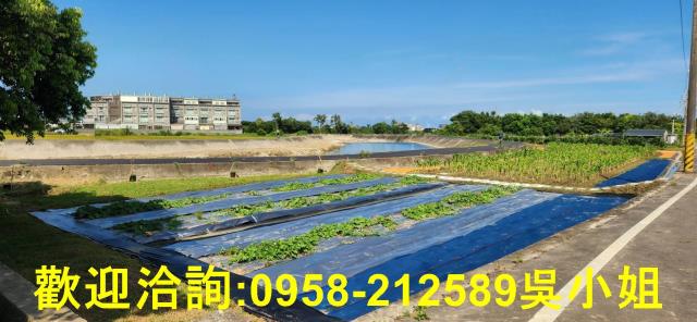 新竹新豐農地-1