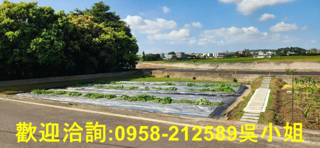 新竹新豐農地-4