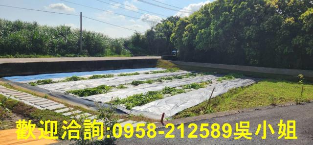 新竹新豐農地-8