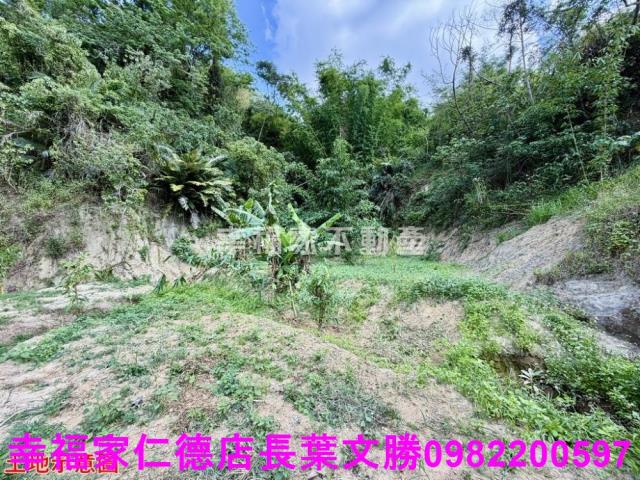 台南關廟農地-14