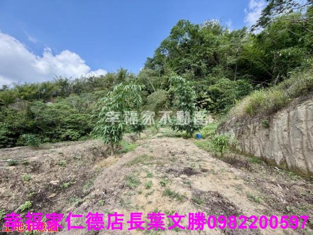 台南關廟農地-8