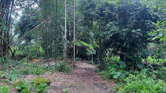 嘉義竹崎農地-5