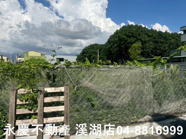 彰化埔心農地-12