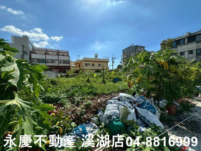 彰化埔心農地-9
