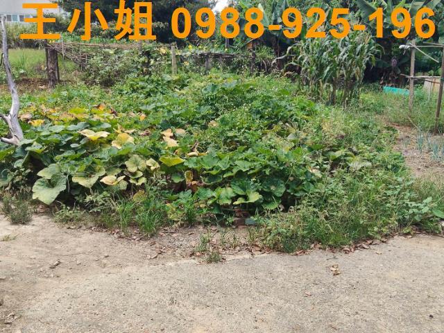 楊梅建地-2
