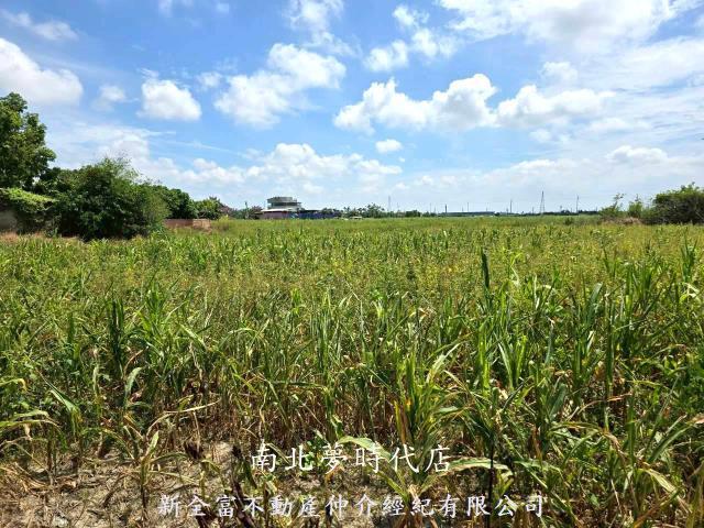 佳里農地-6