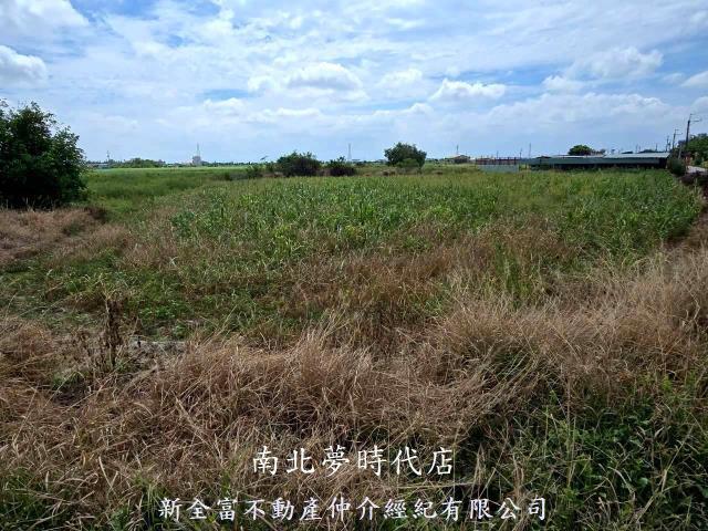 佳里農地-7