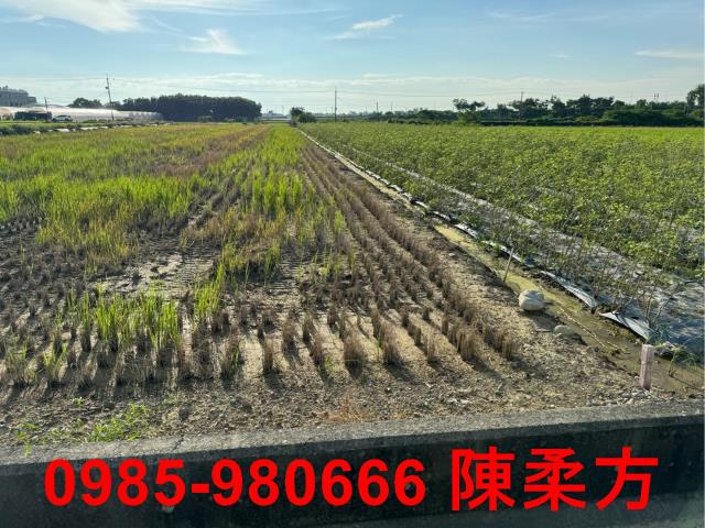 嘉義鹿草農地-3