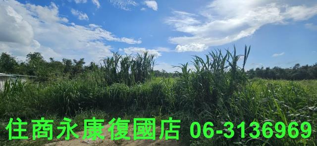 台南關廟農地-11
