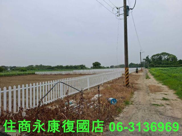 善化農地-9