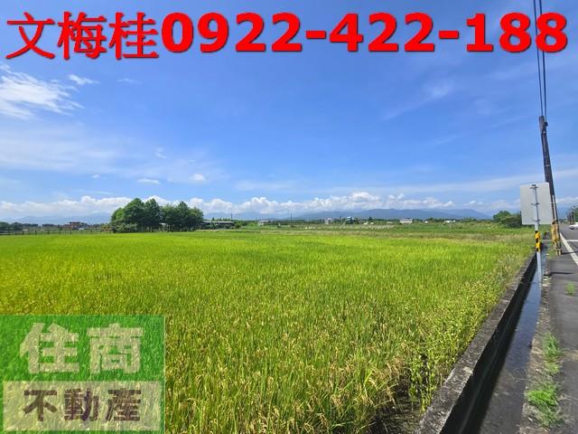 員山農地-3