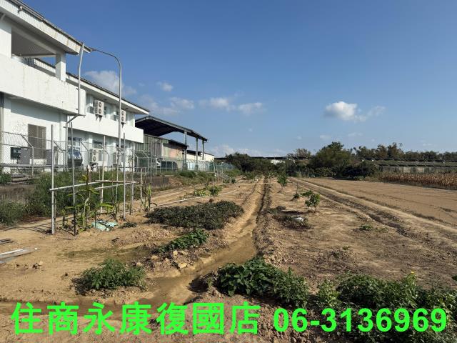 新市農地-4
