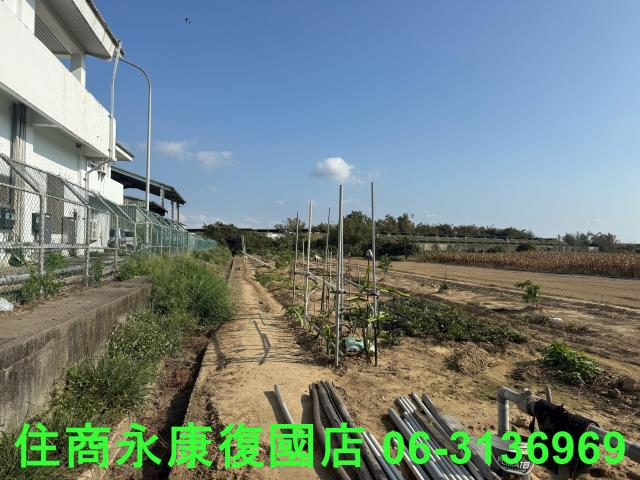 新市農地-6